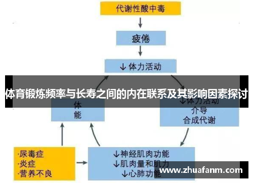 体育锻炼频率与长寿之间的内在联系及其影响因素探讨